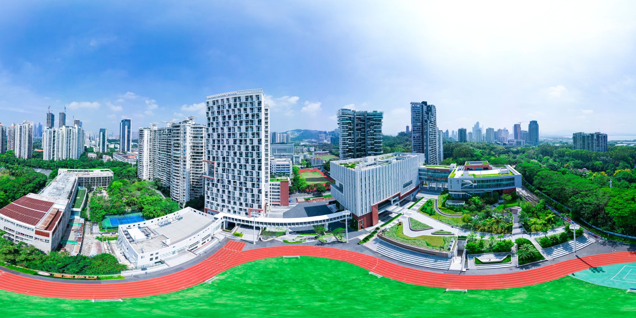 传真：26018406