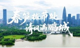 粤ICP备15008843号-1 深